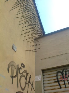 Photo0235