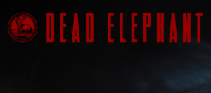 dead elephant2